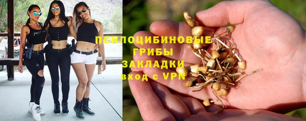 прущие крисы Алексин