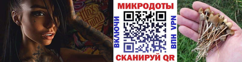 Галлюциногенные грибы GOLDEN TEACHER  Среднеколымск 